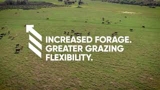 GrazonNext® HL herbicide 30-second