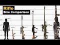 Rifle size comparison