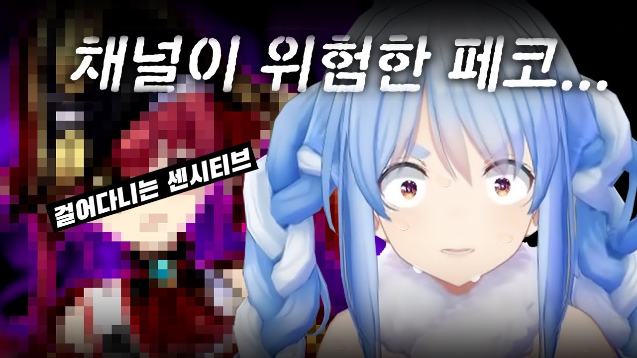 대환장 콜라보 [호쇼 마린/ 우사다 페코라]