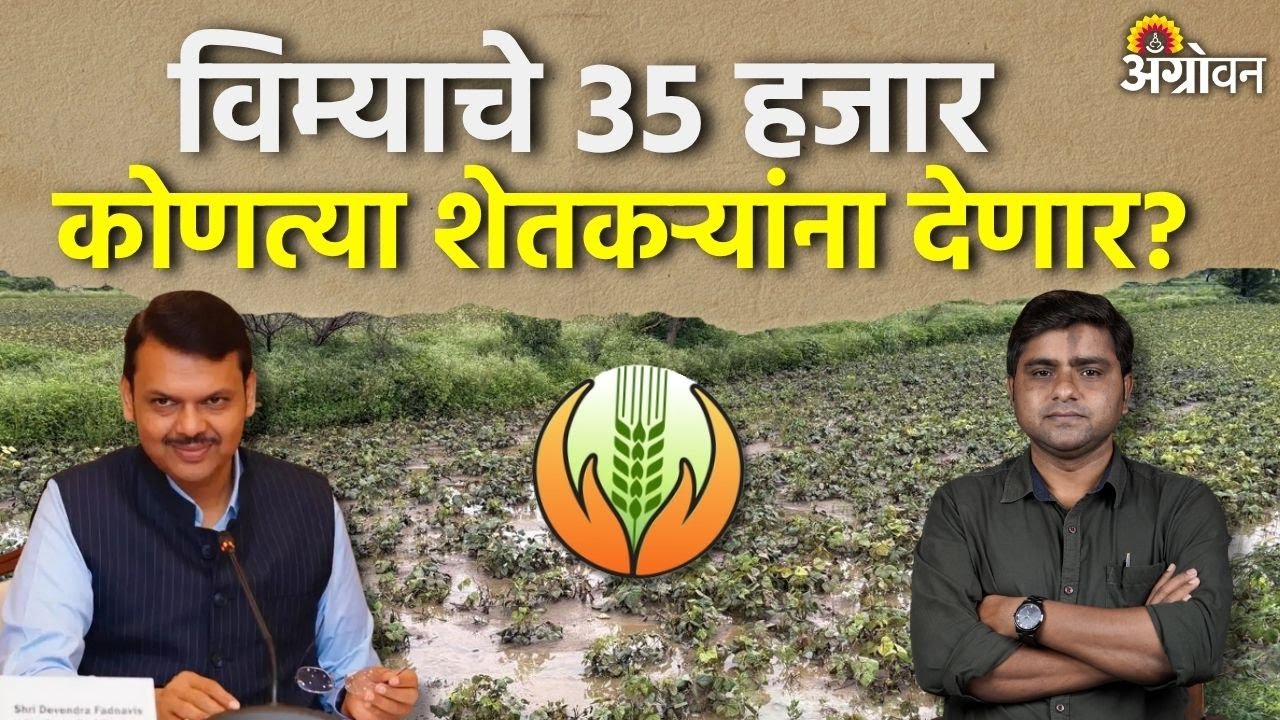 Crop Insurance: सर्व शेतकऱ्यांना १७ हजार रुपये हेक्टरी भरपाई कशी मिळणार? | Agrowon