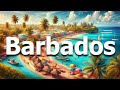 Barbados 13 best things to do in 2024 travel guide