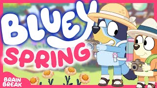 🌺BLUEY’s SPRING GAME🌺Brain Break for kids | this or that 🌼 Danny Go Noodle \& just dance