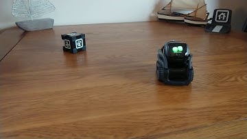 Hey Vector, roll your cube...