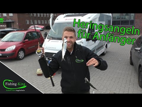 Video: Wie Man Hering Fängt
