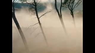 TRITICUM - Creola [Music video] 2021