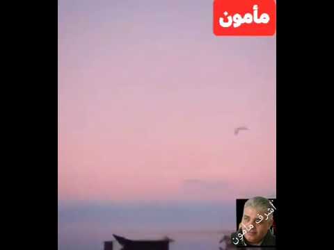 قولوا لها عيونها بلون الشجر مدحت صالح
