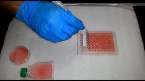 LabSipp : Laboratory aspirator