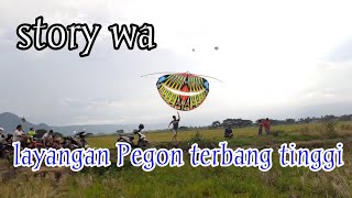 layangan Pegon story wa