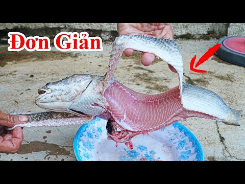Cách Lột Da Cá Lóc Đơn Giản Như Lột VỎ KẸO Cực Hay / Hướng Dẫn Mẹo Lột Da Khử Nhớ Cá. skin fish hack