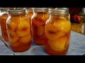 Canning Basics - How to Can Peaches
