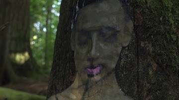 Ephemeral - Disappearing paintings