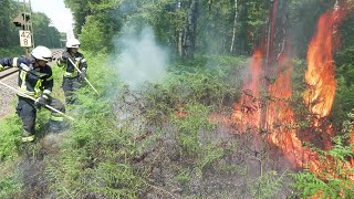 [DREI BÖSCHNUNGSBRÄNDE GLEICHZEITIG!] - Brandausbreitung auf Wald &amp; Feld ~ Flammen &amp; Rauch -
