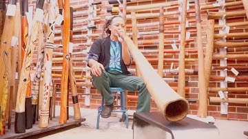 Jesse lethbridge didgeridoo key of F#(web code 4709)
