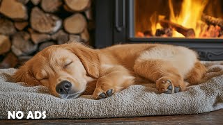 картинка: 12 ЧАСОВ Музыки Глубокого Сна для Собак 🐶💖 Помощь при Тревоге Разлуки 🎵 Без Рекламы