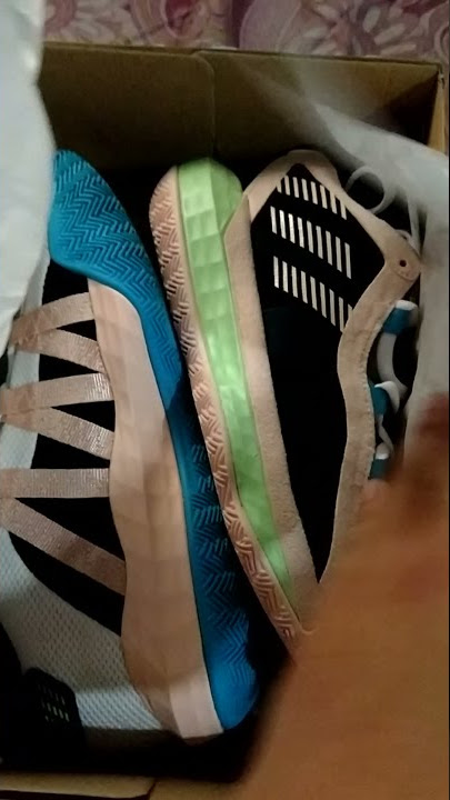 Dame 6 🔥