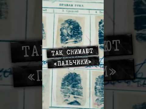 Как криминалисты снимают отпечатки пальцев? #shorts