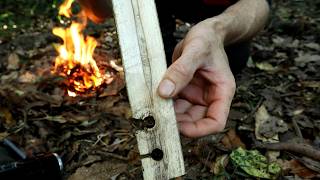 How to make Friction Fire with NZ Native Species