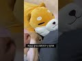 🐰토끼가 순하다?????🐰#쇼츠 #shorts #토끼 #rabbit #bunny #반려동물 #pet #반려가족
