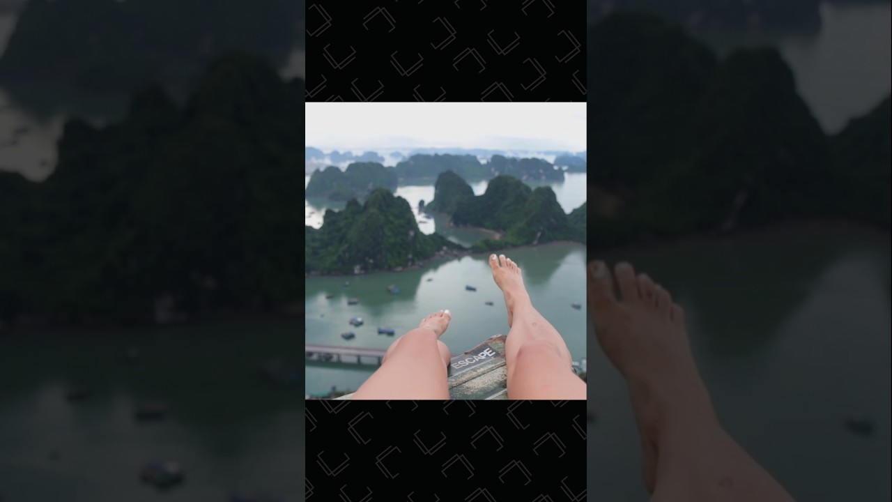 The Great Barrier Reef Australia 🌏 #shorts #facts #nature #australia #greatbarrierreefaustralia