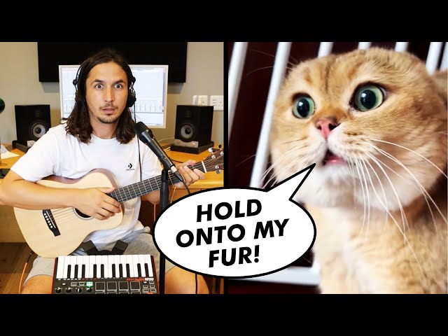 The Kiffness x Oh Long Johnson 2.0 - Hold Onto My Fur (Talking Cat Song) class=