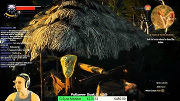 Bug compilation of The Witcher 3 with Praxzy