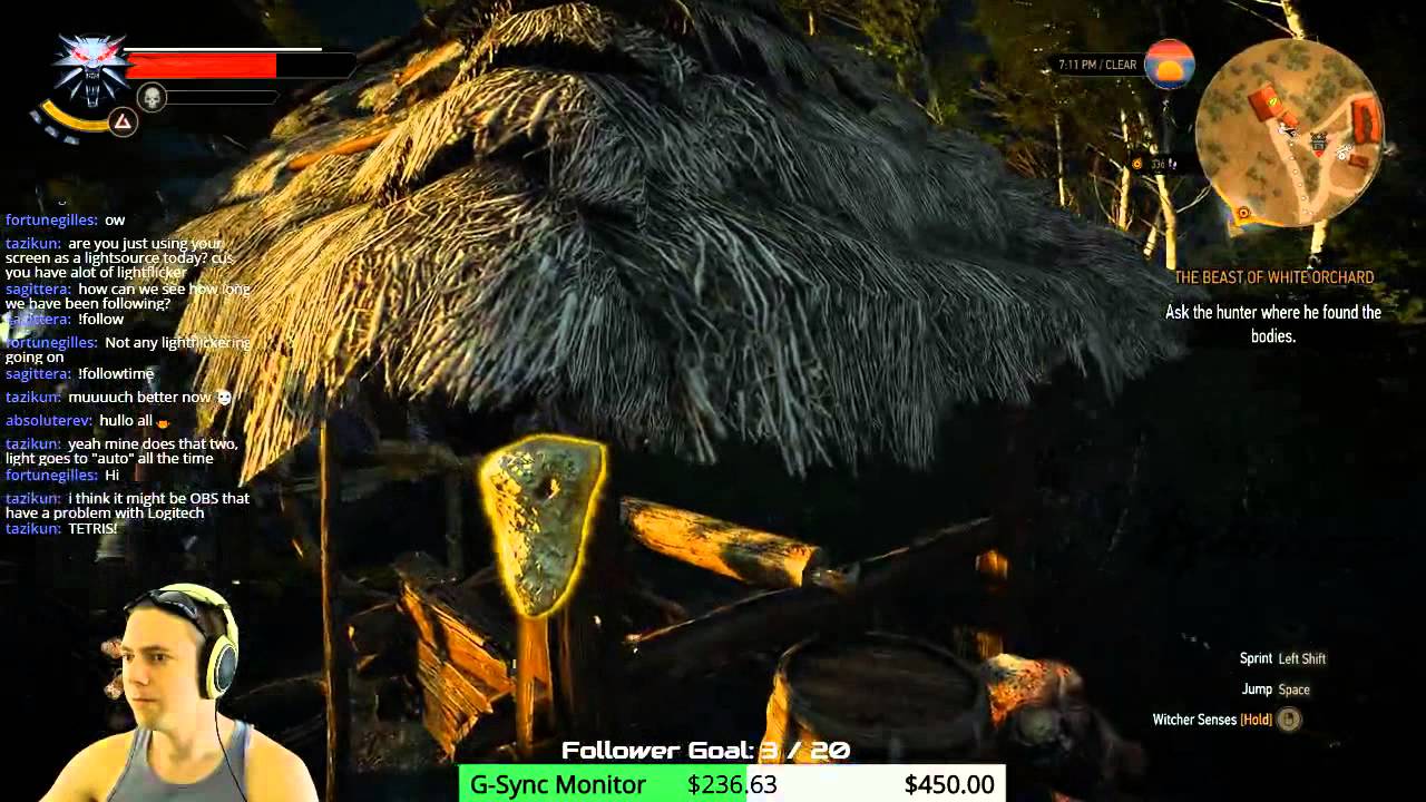 Bug compilation of The Witcher 3 with Praxzy