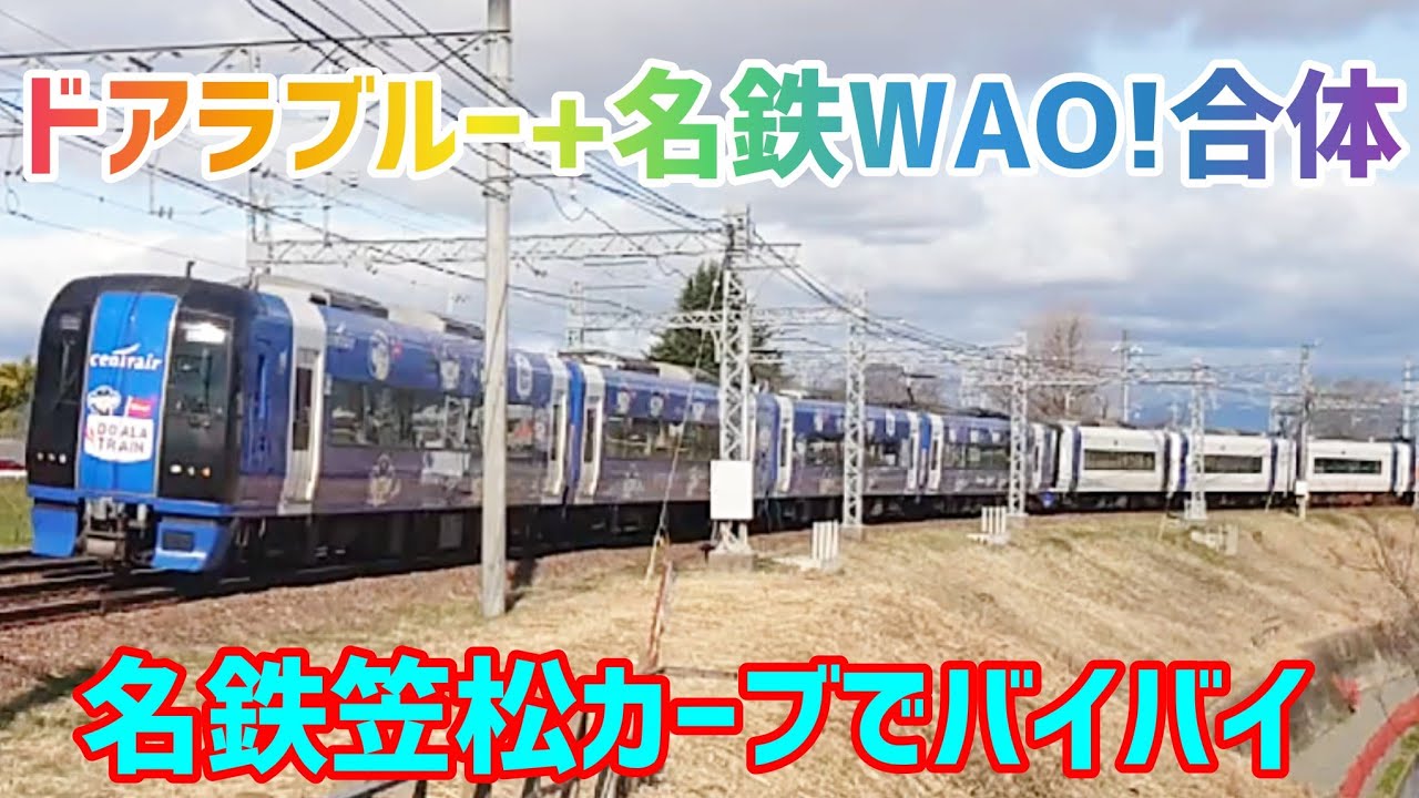 【合体】ドアラブルー+名鉄WAO!ミュースカイキター🤩しなやか風ゲットなるか？優しい運転士さんに感謝