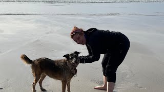 viajar con perro,Galicia