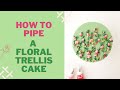 How to pipe a buttercream flower trellis cake