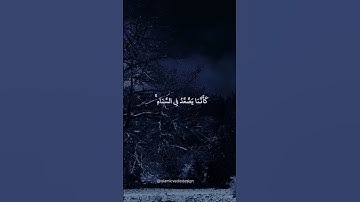 فَمَن يُرِدِ اللَّهُ أَن يَهْدِيَهُ يَشْرَحْ صَدْرَهُ لِلْإِسْلَامِ ۖ | القارئ بندر بليلة