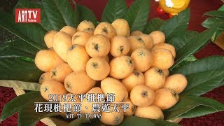 2019太平枇杷節 2019太平枇杷節