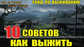 Forest villege гайд 10 вещей о которых нужно знать