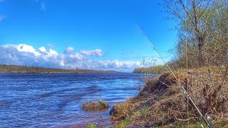 РЫБА КЛЮЕТ ловлю на донки РЫБАЛКА НА ВОЛГЕ Russian fishing