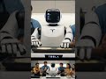 Master Chef - Tesla robot