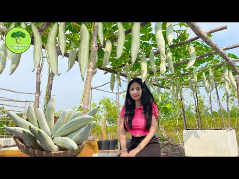 ቪዲዮ: እንዴት እራስዎ ያድርጉት cucumber trellises