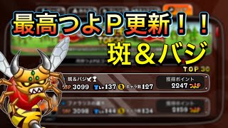 【城ドラ】ついに歴代最高つよP達成できました！！【斑＆バジ】