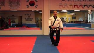 Fighting Stance (Back Stance)