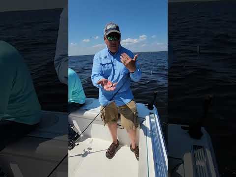 Fishing Crawler Harnesses From A Charter Boat On Lake Of The Woods