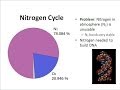Nitrogen Cycle and Its Processes