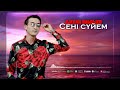 Дихан Ильяшев - Сені сүйем (аудио)