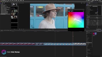 Nobe Color Remap plugin for Final Cut Pro X - Floating Window Mode