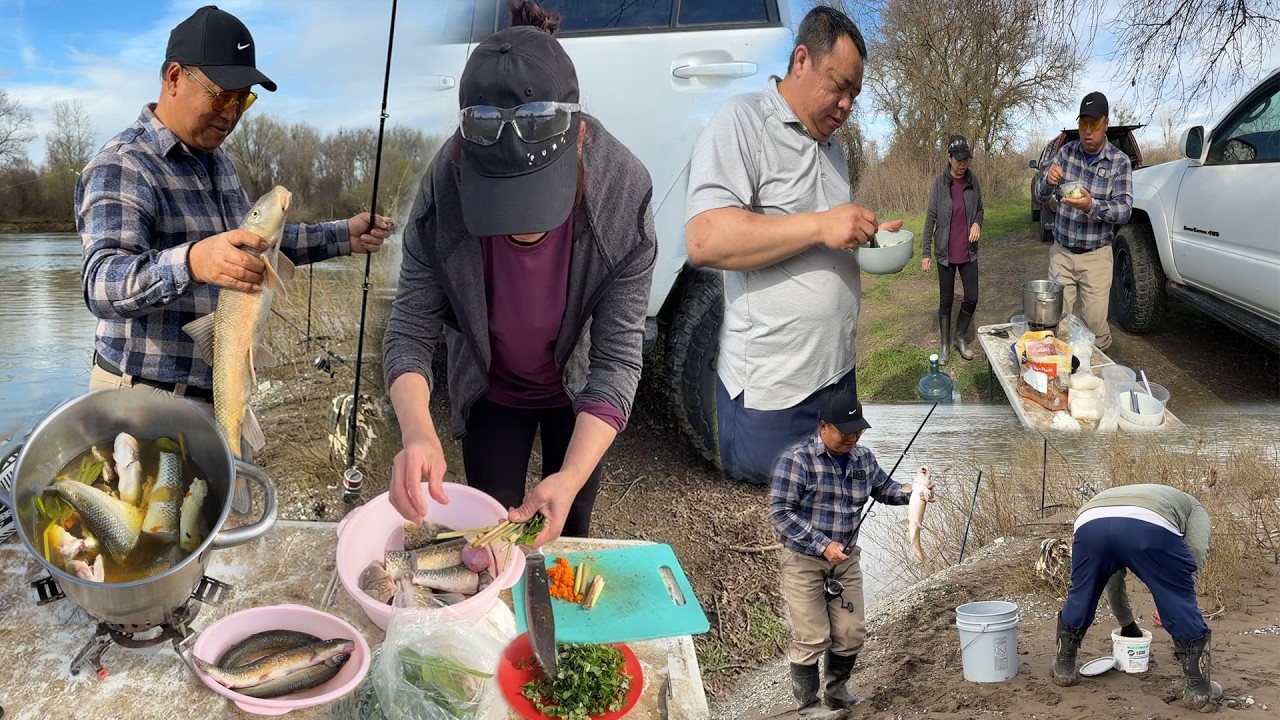 Fishing Sacramento River | Catch & Cook | Yos hav dej nuv ntses February 23, 2026