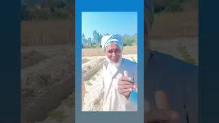 Download Lagu #virlshort #viralvideo #dilwale #dilwale @dilwalesong MP3 Download Lagu #virlshort #viralvideo #dilwale #dilwale @dilwalesong MP3