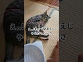 時、止まってる?