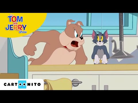 Tom ve Jerry | Köpek Karavanı | Cartoonito Türkiye