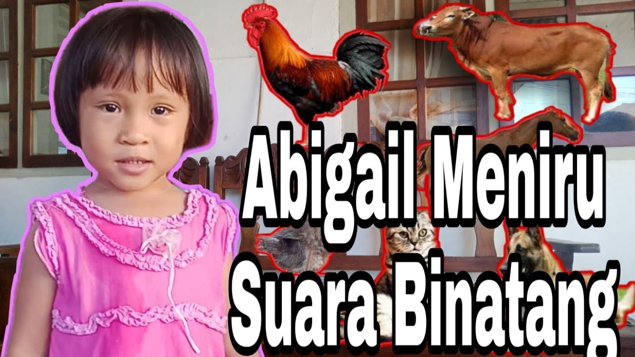  Anak  Umur 2  Tahun  Meniru Macam macam Suara Hewan  YouTube