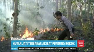 Hutan Jati Terbakar Akibat Puntung Rokok | REDAKSI PAGI (11/08/19)