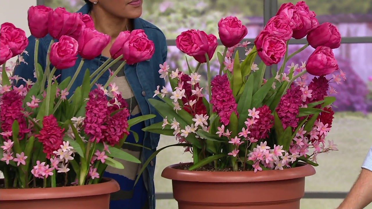 Roberta's 50 Piece Think Pink Spring Garden on QVC YouTube