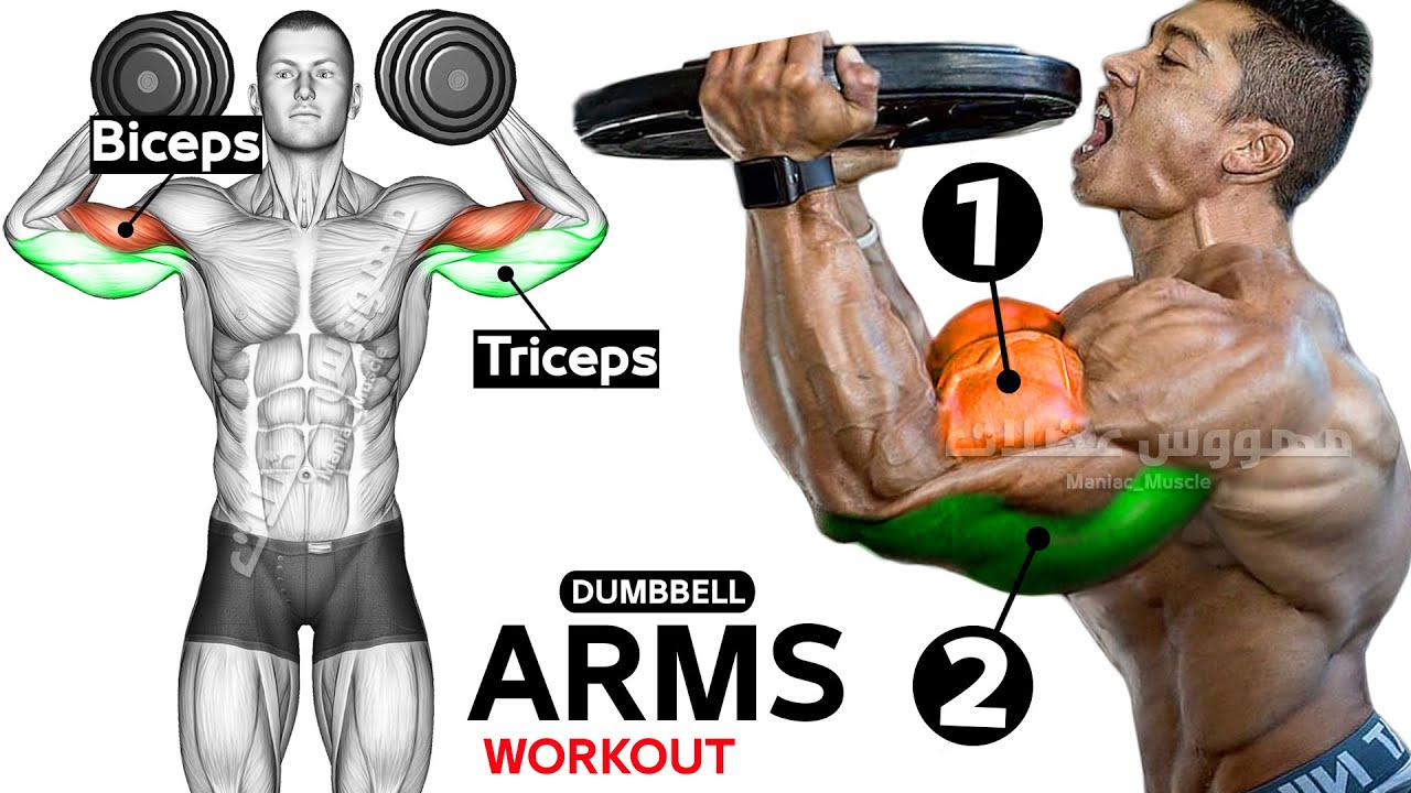 how-to-build-your-arms-workout-biceps-y-triceps