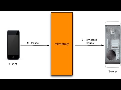 How to use a man in the middle proxy using (mitmproxy) in linux